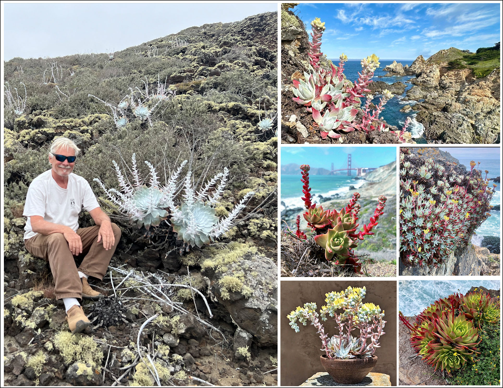 San Gabriel Valley Cactus And Succulent Society